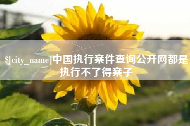 宿迁中国执行案件查询公开网都是执行不了得案子