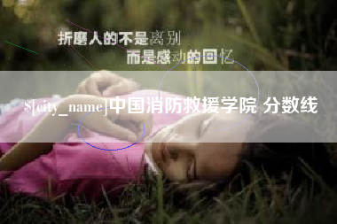 宿迁中国消防救援学院 分数线