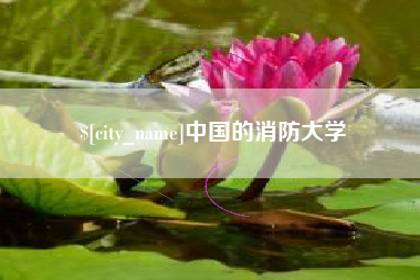 宿迁中国的消防大学