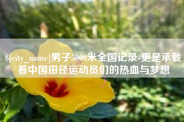 宿迁男子5000米全国记录-更是承载着中国田径运动员们的热血与梦想