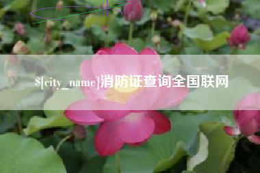 宿迁消防证查询全国联网
