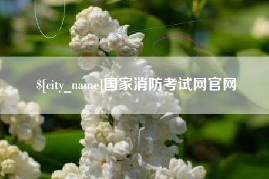 宿迁国家消防考试网官网