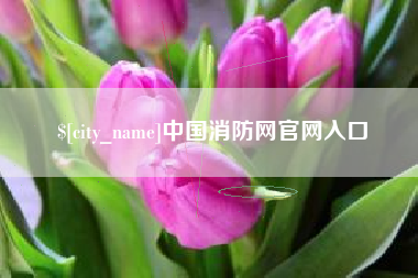 宿迁中国消防网官网入口