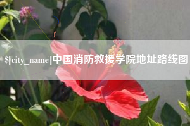宿迁中国消防救援学院地址路线图