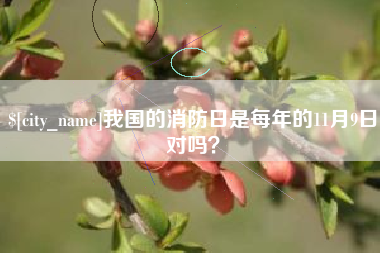 宿迁我国的消防日是每年的11月9日对吗？