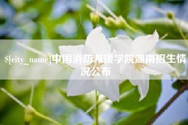 宿迁中国消防救援学院湖南招生情况公布