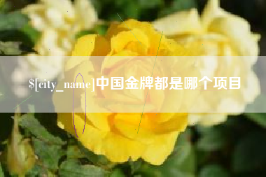 宿迁中国金牌都是哪个项目