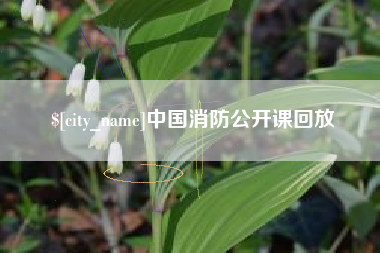 宿迁中国消防公开课回放