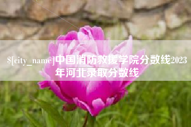 宿迁中国消防救援学院分数线2023年河北录取分数线