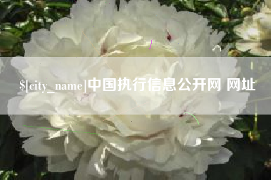 宿迁中国执行信息公开网 网址