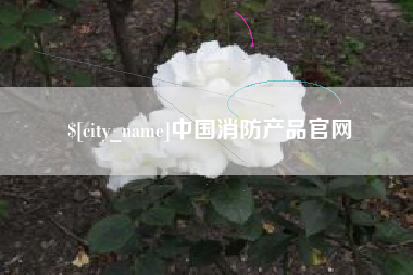 宿迁中国消防产品官网