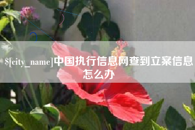 宿迁中国执行信息网查到立案信息怎么办