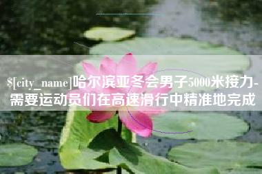 宿迁哈尔滨亚冬会男子5000米接力-需要运动员们在高速滑行中精准地完成
