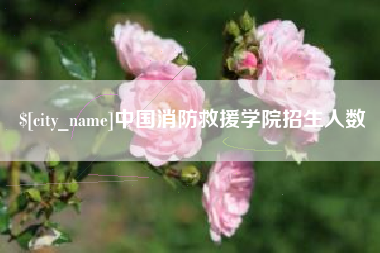 宿迁中国消防救援学院招生人数