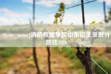 宿迁消防救援学院山东招生录取分数线2020
