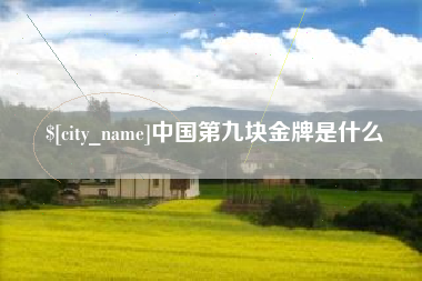 宿迁中国第九块金牌是什么