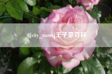 宿迁王子豪百科