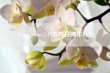 宿迁119消防日哪年开始