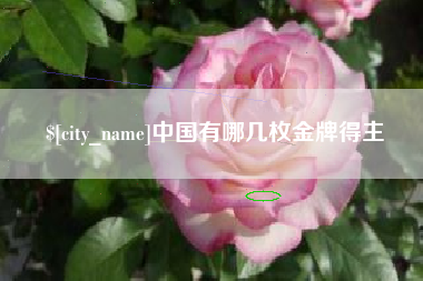 宿迁中国有哪几枚金牌得主
