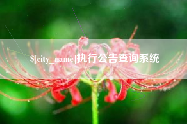 宿迁执行公告查询系统