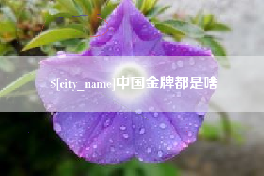 宿迁中国金牌都是啥