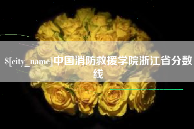 宿迁中国消防救援学院浙江省分数线