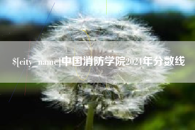 宿迁中国消防学院2024年分数线