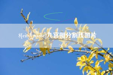 宿迁九宫图分割线图片