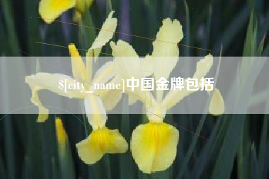 宿迁中国金牌包括