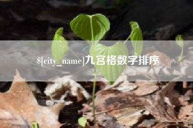 宿迁九宫格数字排序