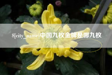 宿迁中国九枚金牌是哪九枚