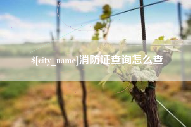 宿迁消防证查询怎么查