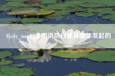 宿迁全国消防日是从哪年发起的