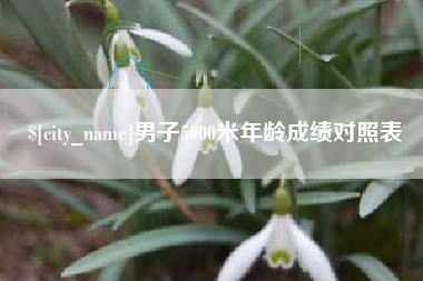 宿迁男子5000米年龄成绩对照表