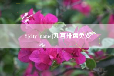 宿迁九宫排盘免费