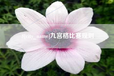宿迁九宫格比赛规则