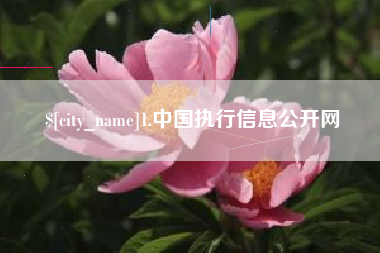 宿迁1.中国执行信息公开网