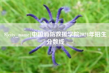 宿迁中国消防救援学院2024年招生分数线