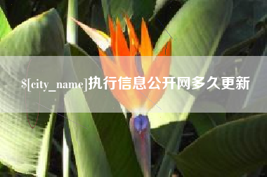 宿迁执行信息公开网多久更新