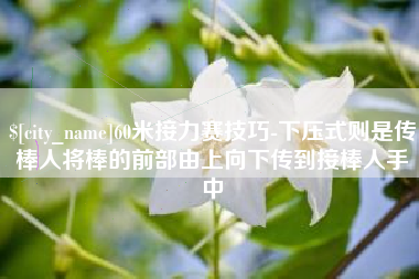 宿迁60米接力赛技巧-下压式则是传棒人将棒的前部由上向下传到接棒人手中