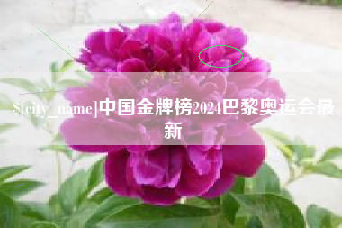 宿迁中国金牌榜2024巴黎奥运会最新