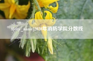 宿迁2020年消防学院分数线
