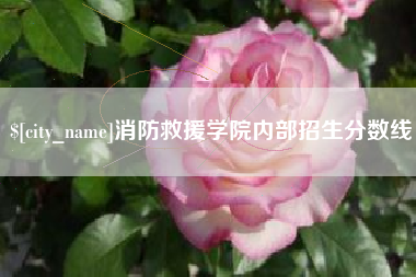 宿迁消防救援学院内部招生分数线