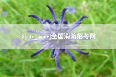 宿迁全国消防招考网