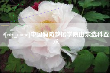 宿迁中国消防救援学院山东选科要求