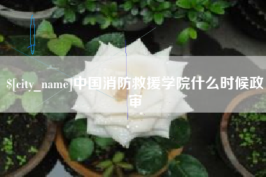 宿迁中国消防救援学院什么时候政审