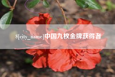 宿迁中国九枚金牌获得者