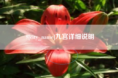 宿迁九宫详细说明