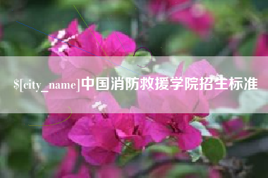 宿迁中国消防救援学院招生标准