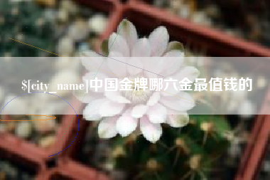 宿迁中国金牌哪六金最值钱的